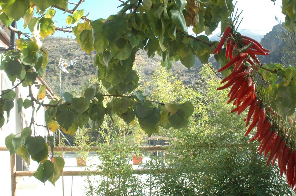 Cortijo Los Cahorros Sierra Nevada 모나칠 외부 사진