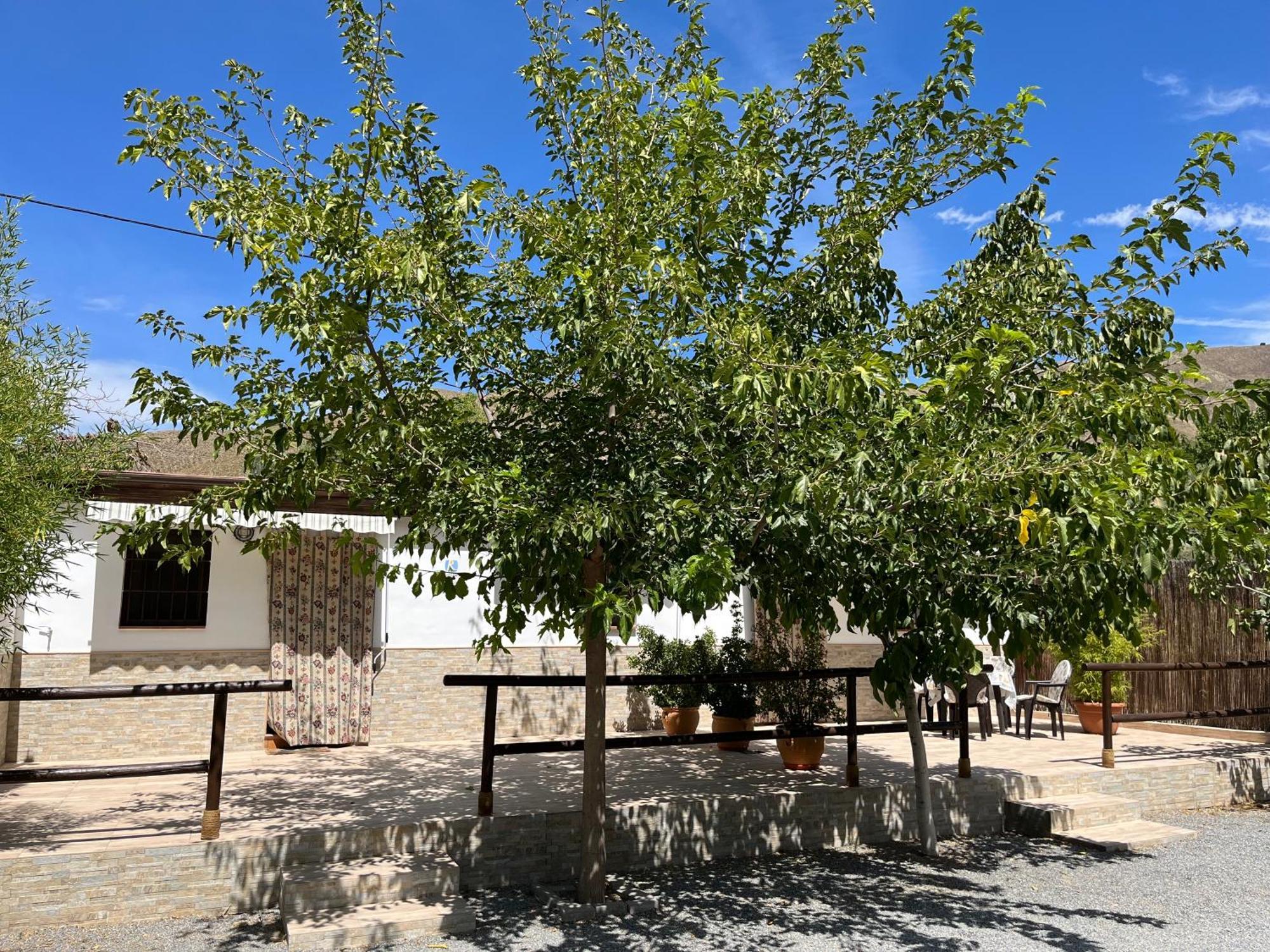 Cortijo Los Cahorros Sierra Nevada 모나칠 외부 사진